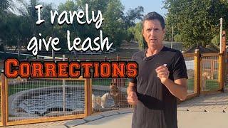 Only give a correction when the dog lunges or is fixated on another dog/person