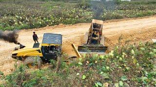 Amazing Project!! Komatsu Dozer Pushing Skill Filling  With 25T Dump Trucks