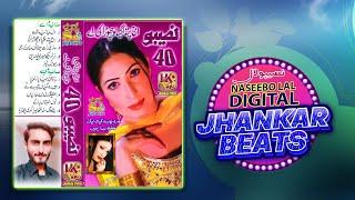 Naseebo Lal Vol 40 | Aj Pata Lagya Vichhora | SJ Digital Jhankar Beat,S | H&K Of Jhankar Studio