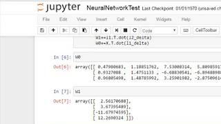 Neural Net implementation on Python on Pynq FPGA Digitronix Nepal Tutorial Series on FPGA