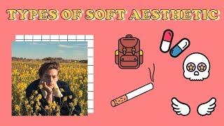 TYPES OF SOFT AESTHETIC //  How to be Aesthetic (Find yours) Part.3