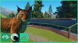 LYNX CORNER & DLC Talk | Raven Creek Park | Planet Zoo | #20