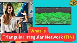 TIN stands for? | What is a Triangular Irregular Network (TIN)