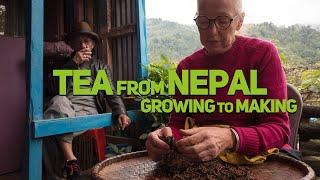 Tea from the top / Nepal Tea travel (short documentary)