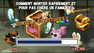 Comment MONTER très RAPIDEMENT son FAMILIER lvl 100 sur DOFUS en MONOCOMPTE !