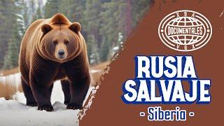 Rusia Salvaje Siberia - Documental completo español