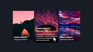 CSS Card Design mit hover effect Animation | HTML + CSS Tutorial Deutsch