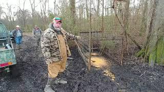 Hog trapping, but hog snaring is king
