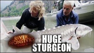 Catching An Enormous Sturgeon | River Monsters
