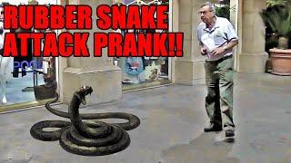 Best Rubber Snake Attack Pranks