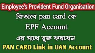 How to link Pan Card with UAN PF Account 2023 | How to Link PAN Card with EPF Account Online Bangla