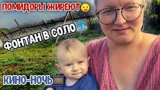 Поездка в Соло | Женя занимается сваркой | Смотрим фильм на ферме | Гоняем 2 шершней