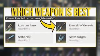 Which 5-Star Weapon Should You Choose At Union Level 45!?