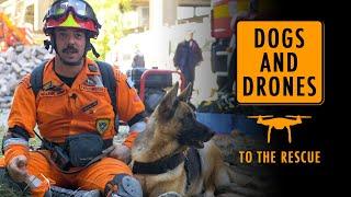 Dogs and drones to the rescue