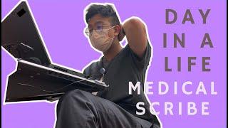 Day in a life of a Medical Scribe || Gap Year Premed