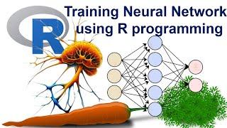 Learn Neural Networks in R programming: a comprehensive welll explained step by step guide