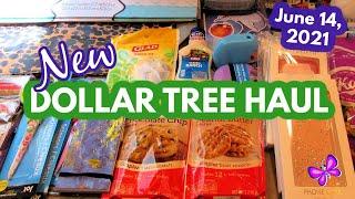 New DOLLAR TREE HAUL!  June 14, 2021 #leighshome