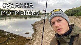 Мормышинг осенью. Рыбалка на Судака. Мормодроч