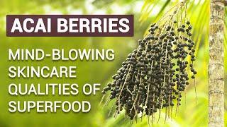 Acai Berries: Mind-blowing skincare qualities of superfood - Bee Elite Essentials