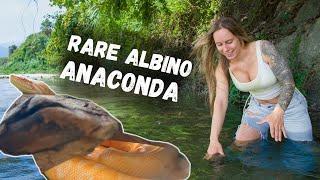 Searching for Giant Anacondas in Colombia!