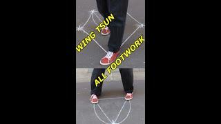 WTAC: Wing Tsun All FootWork