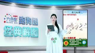 第311期 --【新澳门跑狗图】小龙女来给你解图啦！