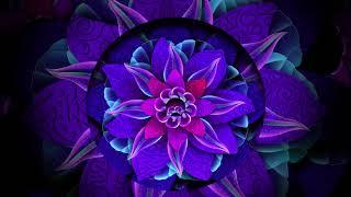Abstract Flower Background Loop - Animation Videos | No Copyright.