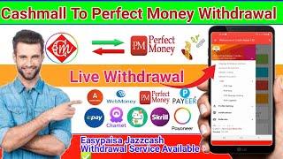 How To Withdrawal Cashmall To Perfect Money Withdrawal From Pakistan New Working Method 2024