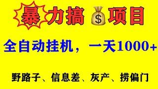 最新网赚副业捞偏门挣快钱创业项目