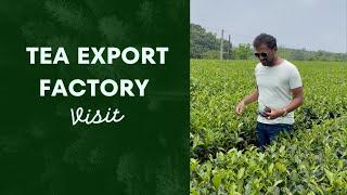 Tea Export Factory visit Vietnam | #simonraks #tea #export