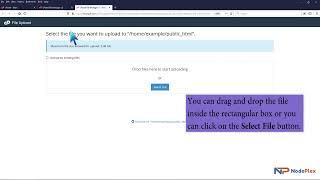 How to upload files via the cPanel File Manager with NodePlex
