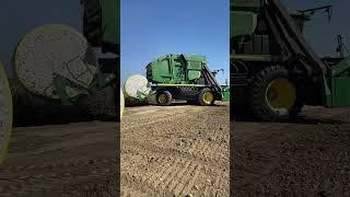 It's cotton harvest time in California!   #agriculture #harvest