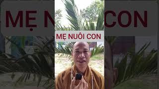 Nỗi khổ MẸ NUÔI CON