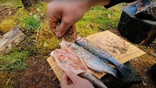 The PERFECT Smoked Fish in the Wilderness | Relaxing Cooking with ASMR