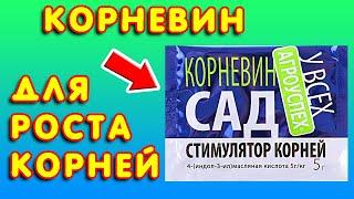 Корневин применение. Стимулятор роста корней для роз, черенков, саженцев Инструкция по применению #1