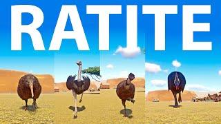 Ratite Animals Category Speed Races in Planet Zoo included Kiwi, Emu, Ostrich, Cassowary