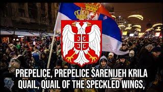 “Prepelice”-Serbian folk song|