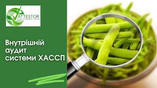 Внутрішній аудит підприємства - відповіді на найчастіші запитання.