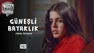 Güneşli Bataklık | FULL HD