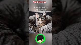 How to make cute cats #growyt #shorts ##viral