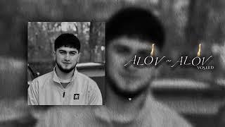 восид- алов~алов voseed alov~alov