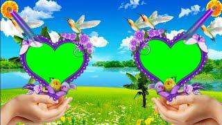 Dil 3D+HD Wedding love green screen background beautiful frame || Love Green Screen Video Effect.