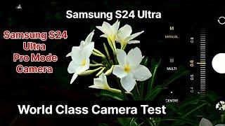 Samsung S24 Ultra - World Class Camera Test  Just Remarkable #samsung #s24ultra