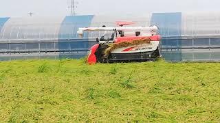 #Rice Harvester Machine in Japan