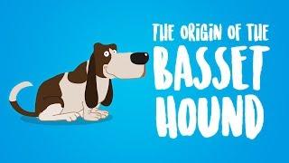 The Origin of the Basset Hound (Animation)