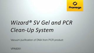 Wizard® SV Gel and PCR Cleanup System - vacuum purification of PCR product