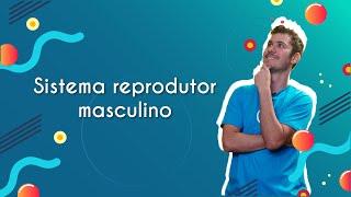 Sistema reprodutor masculino - Brasil Escola