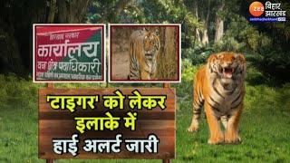 Jharkhand Garhwa Tiger News : गढ़वा में घर से नहीं निकल रहे हैं लोग...बाघ ने किया कैद !