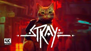 Stray - Juego completo - Español sin comentarios - PC 4K Ultra