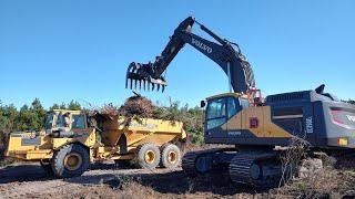 Moving Huge Amounts Of Brush On This New Road!